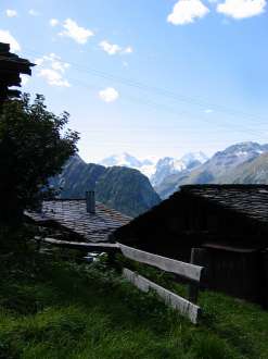 IMG_4454.JPG